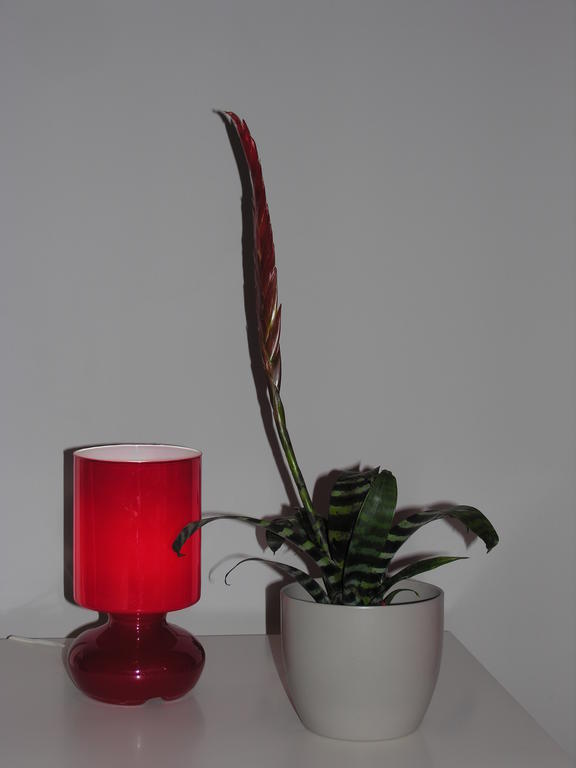 Apartament Amaryllis Krakkó Kültér fotó