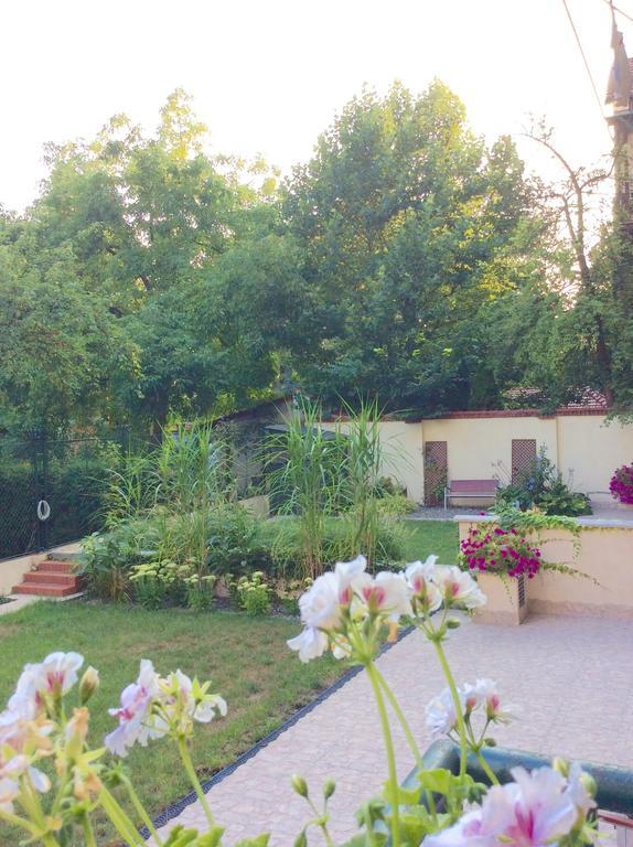 Apartament Amaryllis Krakkó Kültér fotó