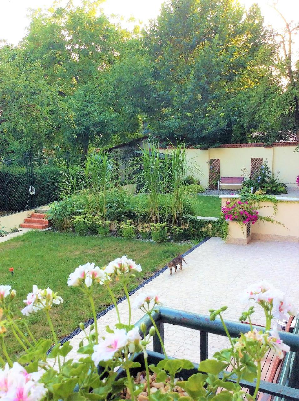 Apartament Amaryllis Krakkó Kültér fotó